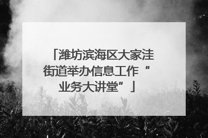 潍坊滨海区大家洼街道举办信息工作“业务大讲堂”