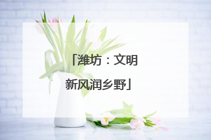 潍坊：文明新风润乡野