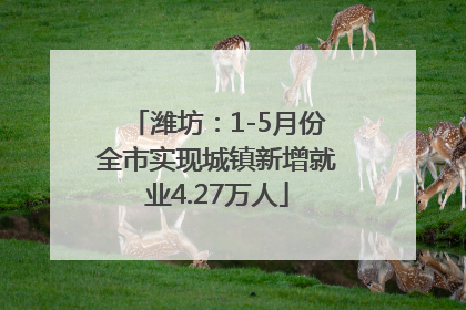 潍坊：1-5月份全市实现城镇新增就业4.27万人