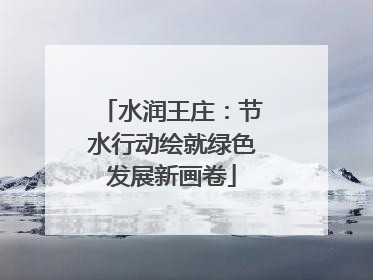水润王庄：节水行动绘就绿色发展新画卷
