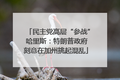 民主党高层“参战” 哈里斯：特朗普政府刻意在加州挑起混乱