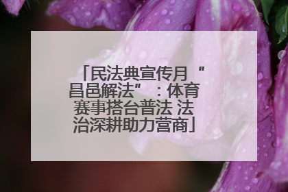 民法典宣传月“昌邑解法”：体育赛事搭台普法 法治深耕助力营商