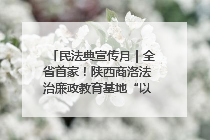民法典宣传月｜全省首家！陕西商洛法治廉政教育基地“以案说纪”润人心