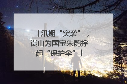 汛期“突袭”，崀山为国宝朱鹮撑起“保护伞”