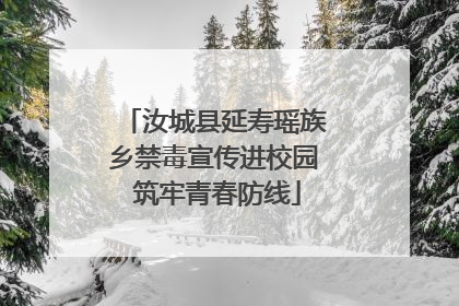 汝城县延寿瑶族乡禁毒宣传进校园 筑牢青春防线