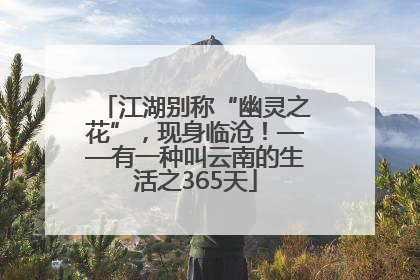 江湖别称“幽灵之花”，现身临沧！——有一种叫云南的生活之365天