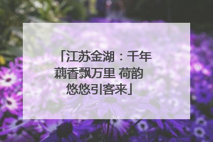 江苏金湖：千年藕香飘万里 荷韵悠悠引客来