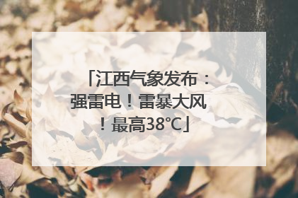 江西气象发布：强雷电！雷暴大风！最高38℃