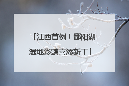 江西首例！鄱阳湖湿地彩鹮喜添新丁