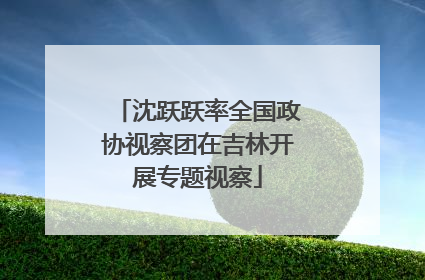 沈跃跃率全国政协视察团在吉林开展专题视察