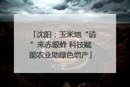 沈阳：玉米地“请”来赤眼蜂 科技赋能农业助绿色增产