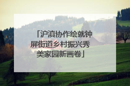 沪滇协作绘就钟屏街道乡村振兴秀美家园新画卷