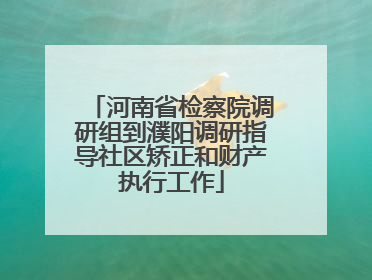 河南省检察院调研组到濮阳调研指导社区矫正和财产执行工作