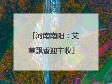 河南南阳：艾草飘香迎丰收