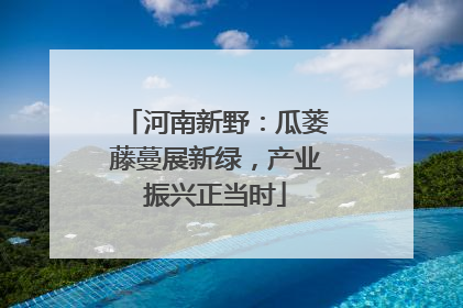河南新野：瓜蒌藤蔓展新绿，产业振兴正当时