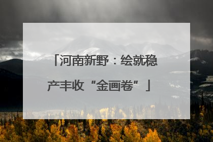 河南新野：绘就稳产丰收“金画卷”