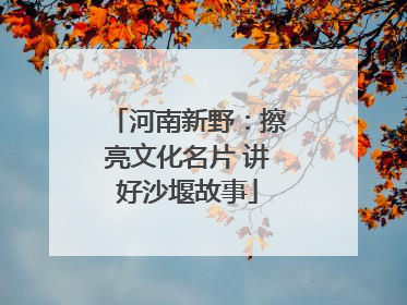 河南新野：擦亮文化名片 讲好沙堰故事