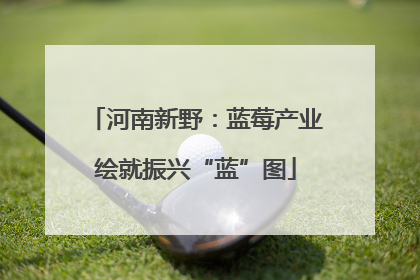 河南新野：蓝莓产业绘就振兴“蓝”图