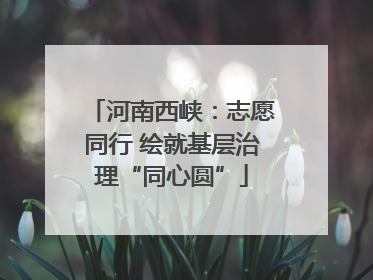 河南西峡：志愿同行 绘就基层治理“同心圆”