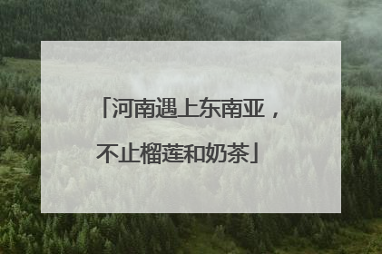 河南遇上东南亚，不止榴莲和奶茶