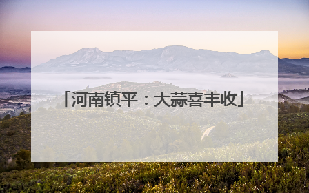河南镇平：大蒜喜丰收