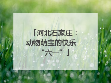 河北石家庄：动物萌宝的快乐“六一”