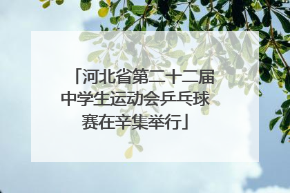 河北省第二十二届中学生运动会乒乓球赛在辛集举行