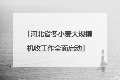 河北省冬小麦大规模机收工作全面启动