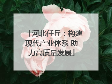 河北任丘：构建现代产业体系 助力高质量发展