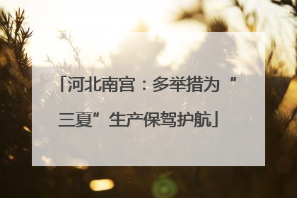 河北南宫：多举措为“三夏”生产保驾护航