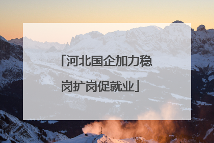 河北国企加力稳岗扩岗促就业