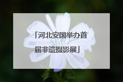 河北安国举办首届非遗摄影展