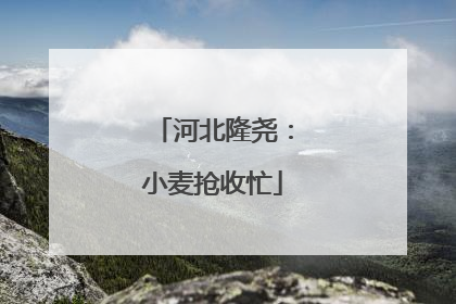 河北隆尧：小麦抢收忙