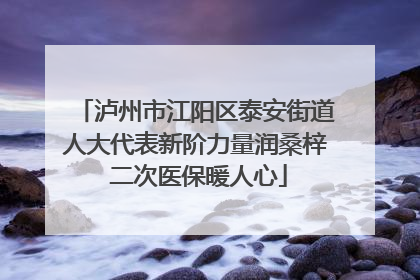 泸州市江阳区泰安街道人大代表新阶力量润桑梓 二次医保暖人心
