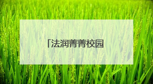 法润菁菁校园 庭护灼灼青春