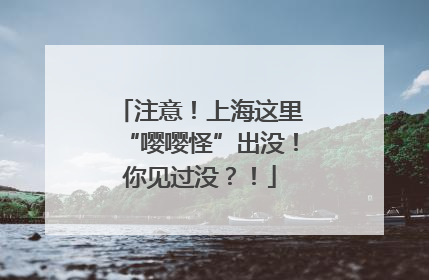 注意！上海这里“嘤嘤怪”出没！你见过没？！