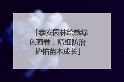 泰安园林绘就绿色画卷，精细防治护佑苗木成长