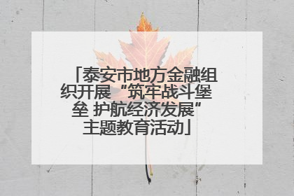 泰安市地方金融组织开展“筑牢战斗堡垒 护航经济发展”主题教育活动