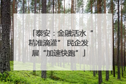 泰安：金融活水“精准滴灌” 民企发展“加速快跑”