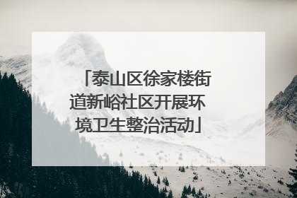 泰山区徐家楼街道新峪社区开展环境卫生整治活动