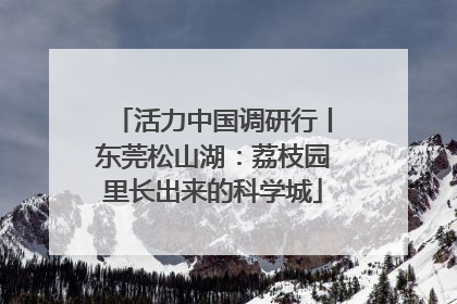 活力中国调研行丨东莞松山湖：荔枝园里长出来的科学城