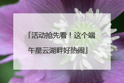 活动抢先看！这个端午星云湖畔好热闹