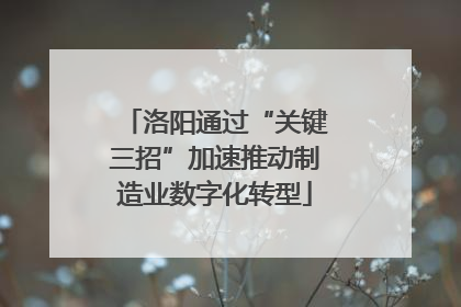 洛阳通过“关键三招”加速推动制造业数字化转型