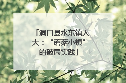 洞口县水东镇人大：“蘑菇小镇”的破局实践