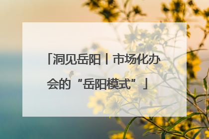洞见岳阳丨市场化办会的“岳阳模式”