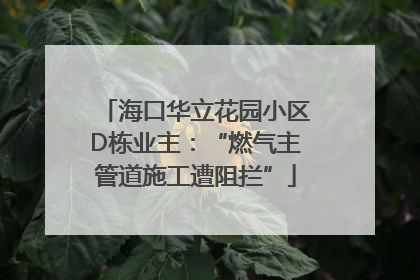 海口华立花园小区D栋业主：“燃气主管道施工遭阻拦”