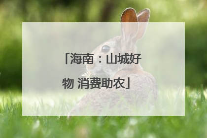海南：山城好物 消费助农