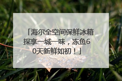 海尔全空间保鲜冰箱探享一城一味，冻鱼60天新鲜如初！