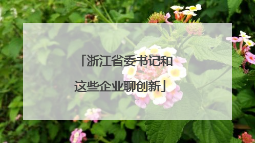 浙江省委书记和这些企业聊创新