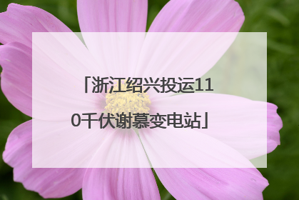 浙江绍兴投运110千伏谢慕变电站